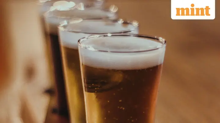 British brewer Lion returns to India after 60 years, enters Delhi market with premium beer