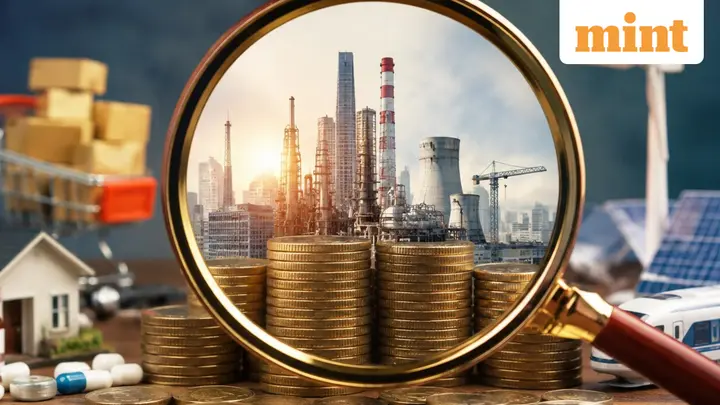 Sectoral and thematic index funds return up to 22% in 6 months: What retail investors must know before taking the plunge