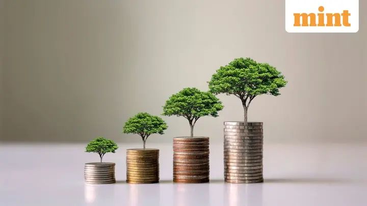 NIIF’s India-Japan Fund gears up for faster climate bets in next 18-24 months