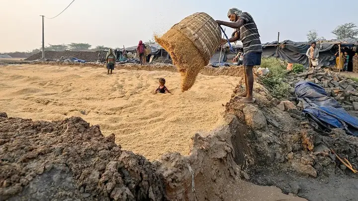 Can agricultural waste become India’s next commodity?
