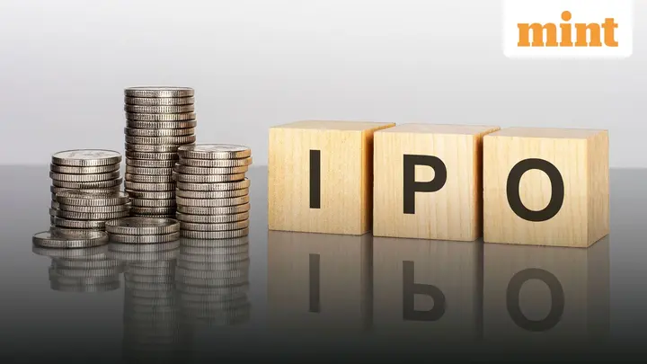 SRK, Sachin Tendulkar, Madhuri Dixit-owned Purple Style may launch  ₹660 crore IPO this month