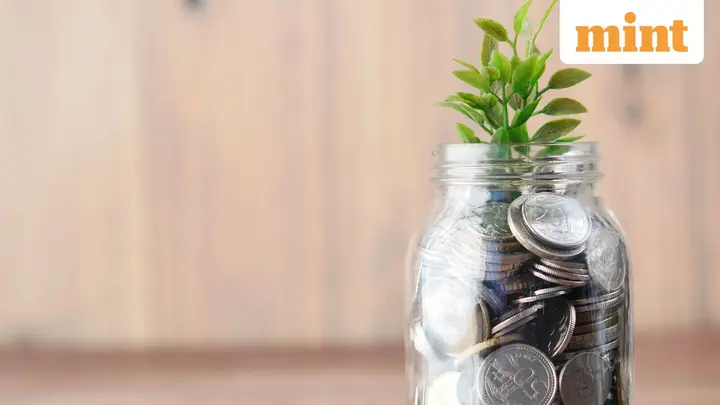 Bandhan Small Cap Fund July portfolio: 15 stocks added, 9 exited; HDFC Bank, AWL Agri see higher holdings