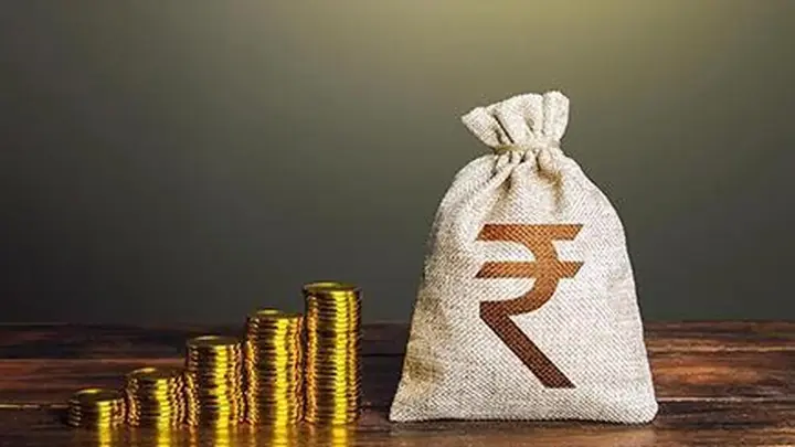 One in five Nifty 50 CEOs in the ₹50-crore salary club