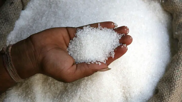 Balrampur Chini Mills share price up over 10% in 5 days - What's sweetening up stock investors | Explained