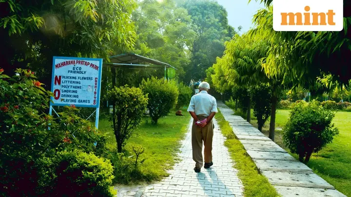 SCSS: How much should a senior citizen invest to earn  ₹25,000 every quarter at 8.2%?