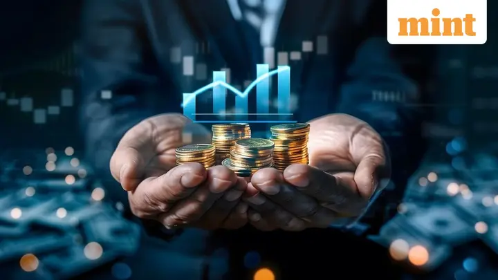 Small-cap funds see rising inflows: Are Indian investors chasing returns at the cost of risks? Experts explain