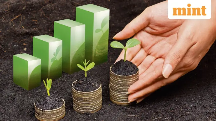 Global PE firm Siguler Guff eyes $350-400 mn continuation fund to back four portfolio cos