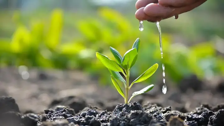 Sundaram Equity Savings Fund: Balancing growth with lower volatility