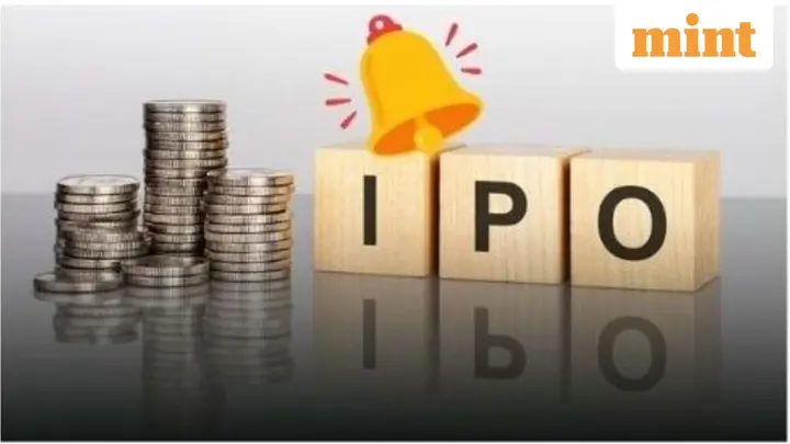 Investing in an IPO? 10 warning signs to look for before placing your bet