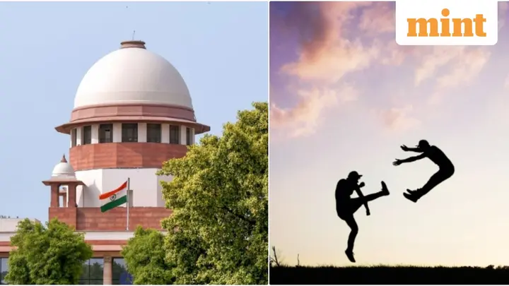 Does revenue entry mean property ownership? What Supreme Court said over MP's joint family dispute