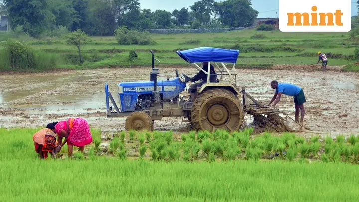 Mint macro tracker: Indian economy showed resilience in July, but risks linger