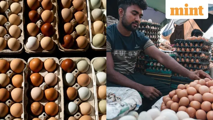 Over 60% of egg consumers report 10-50% price increase; 70% concerned about adulteration: Survey