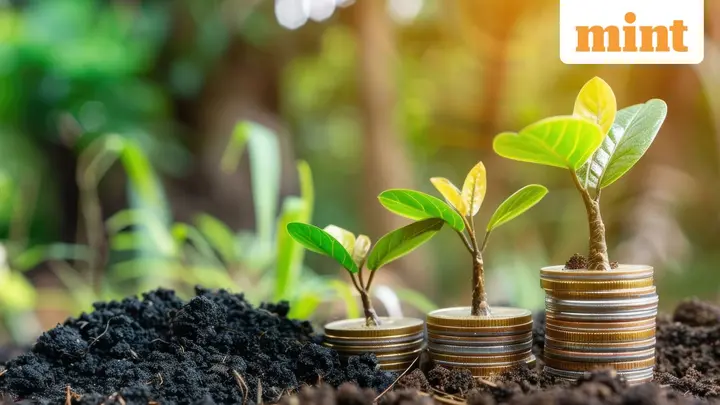 Investing  ₹25,000 through SIP? Here's when you should increase it or start a new fund