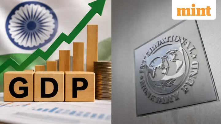 IMF backs India's new GDP data, says updated IIP, PPI will improve accuracy