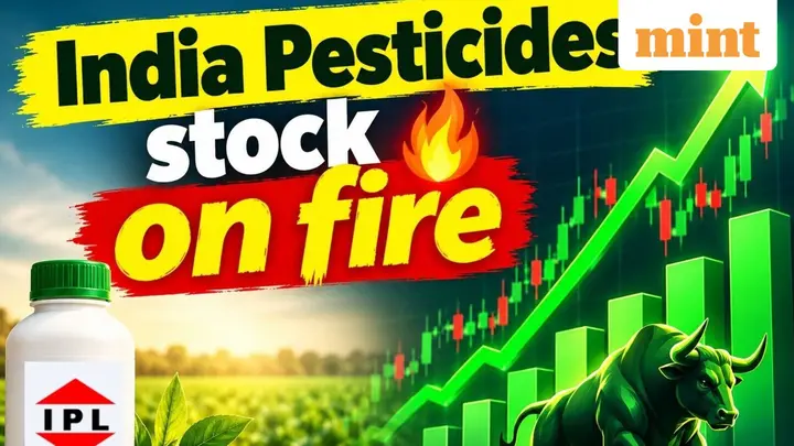 India Pesticides stock on fire! Agrochemical stock zooms 11% - what’s fuelling the rally?