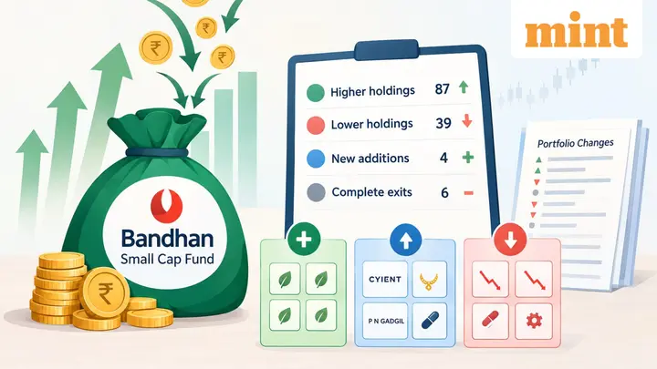 Bandhan Small Cap Fund August portfolio: Cyient, P N Gadgil see higher holdings; 4 stocks added, 6 exited