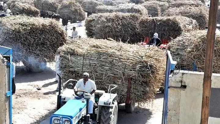 India’s agriculture and geopolitics: A food security outlook