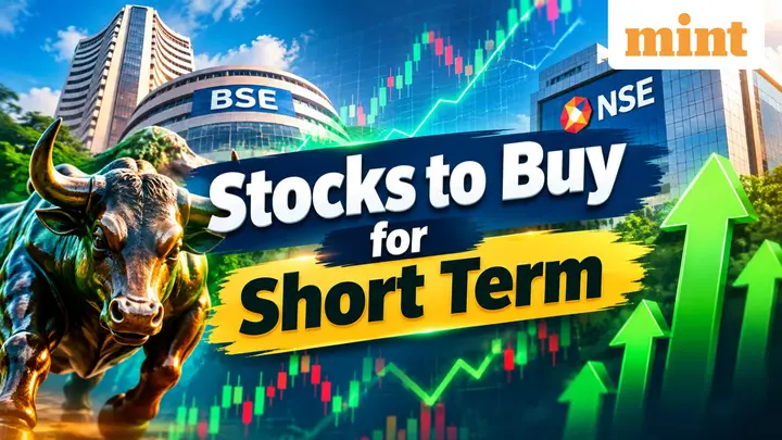Himadri Speciality, Borosil Renewables among 5 fundamental stock picks Ambareesh Baliga recommends buying for short term