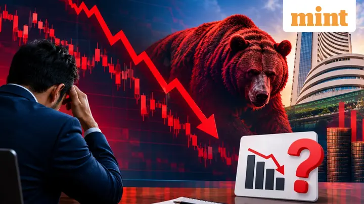 50% of Nifty stocks slip into bear territory, down up to 40% - What should investors do now? Experts view