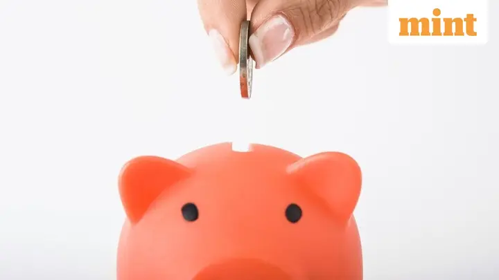 Funding your spouse's PPF account? Tax expert explains how Section 80C rules