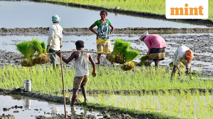Mint Macro Tracker: India’s macro scorecard weakens as domestic strains build