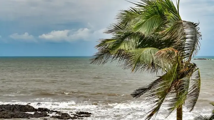TN govt sets up expert advisory panel to monitor, assess impacts of strong El Nino