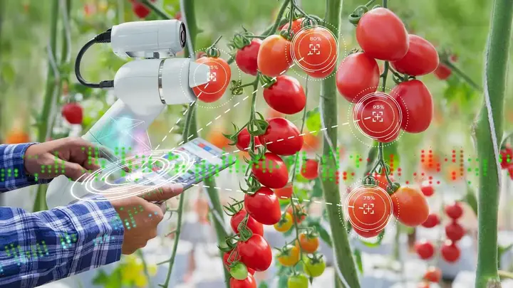 5 ways agritech can fuel real growth in India’s aspirational blocks